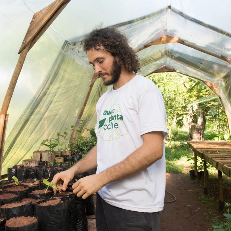 Plant biodiversity preservation programme, Brazil